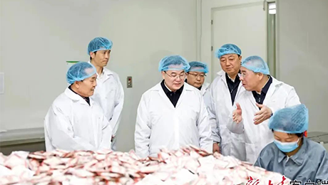 甘肃省委书记胡昌升莅临6776永利集团健康集团佛仁制药考察调研