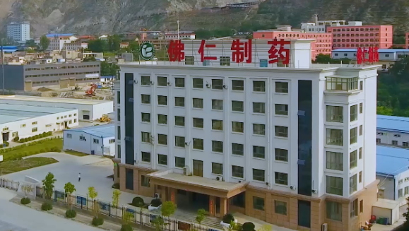 甘肃省副省长葛建团莅临6776永利集团（002219）旗下佛仁制药考察调研